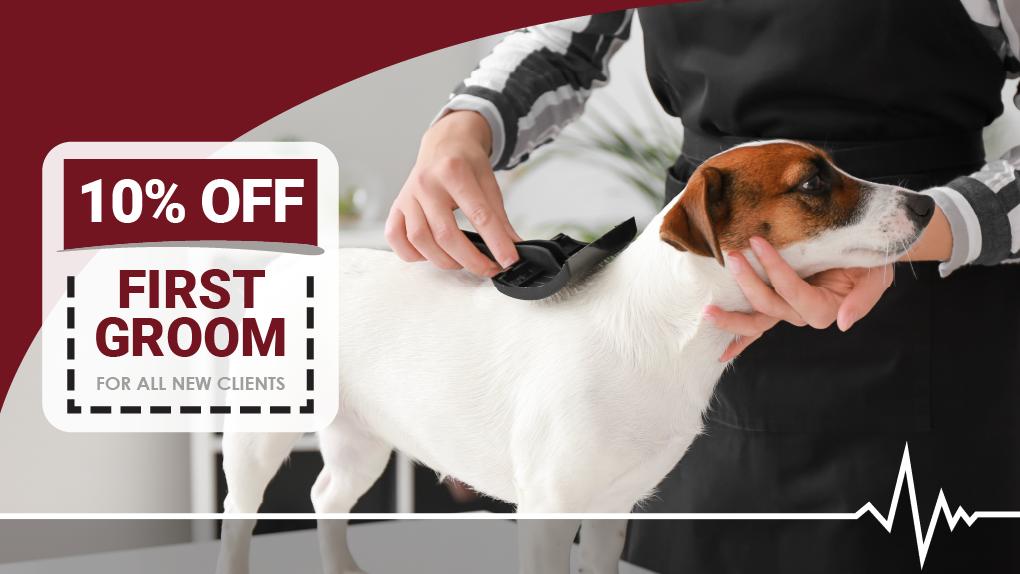 10% OFF First Groom